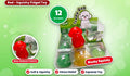 12pcs Teddy Dog Squishy - Red