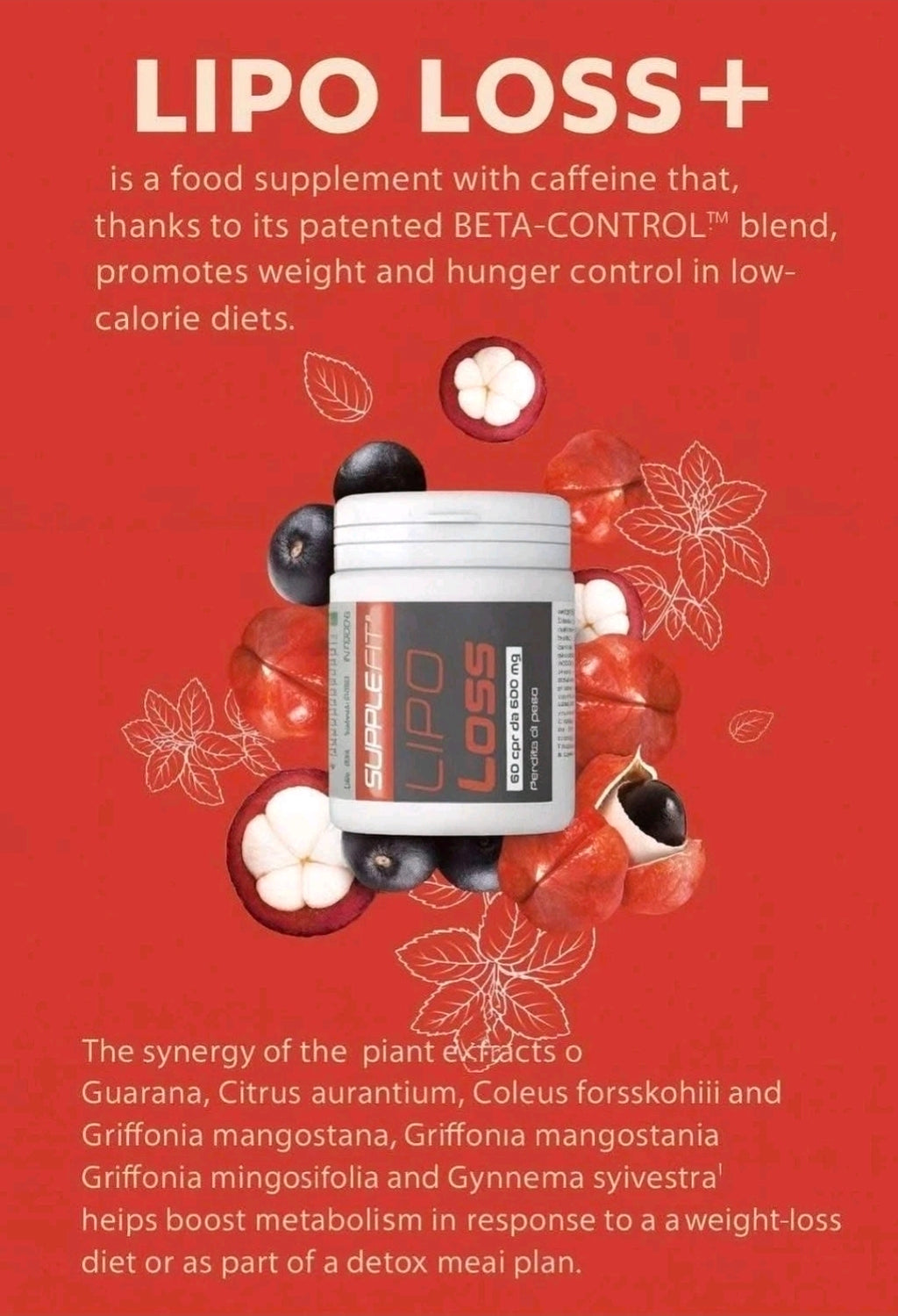 Lipo loss